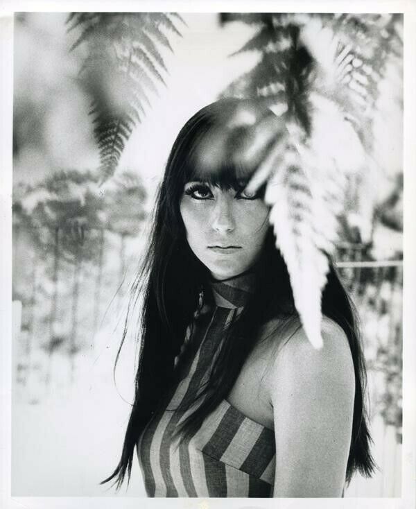 Cher Sultry Vintage Glamour portrait Stamped Original 8x10 B/W Photo