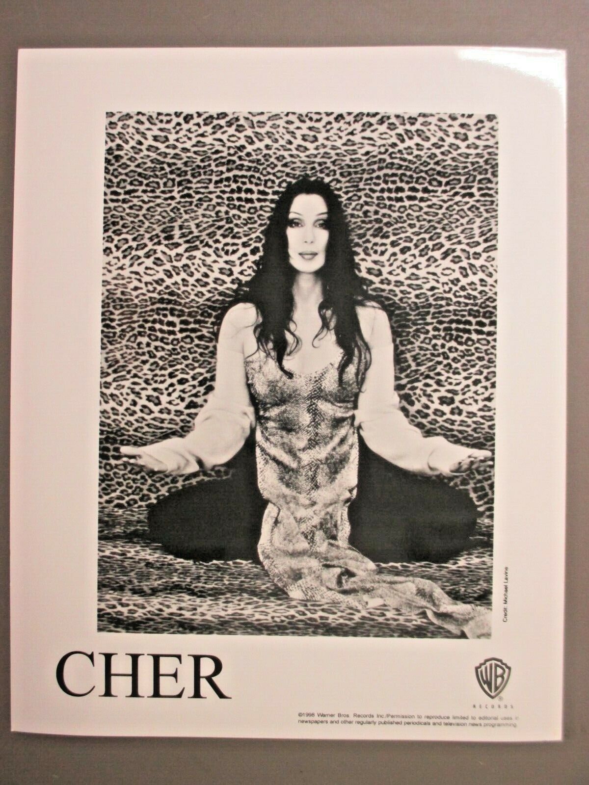 Cher black & white 8 X 10 glossy promo photo ORIGINAL leopard background 1998!